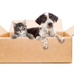 Bürokraft- Personalasistentin